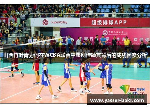 山西竹叶青为何在WCBA联赛中屡创佳绩其背后的成功因素分析