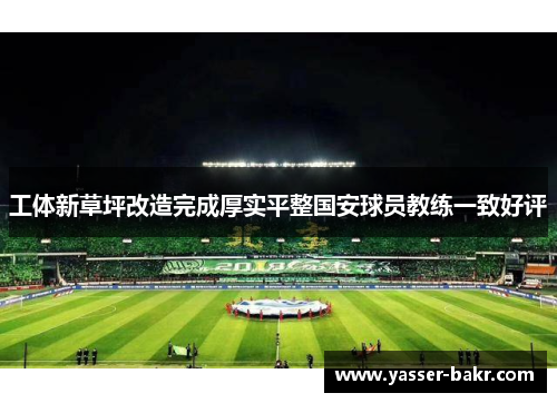 工体新草坪改造完成厚实平整国安球员教练一致好评